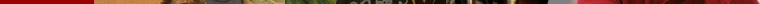 strip of images